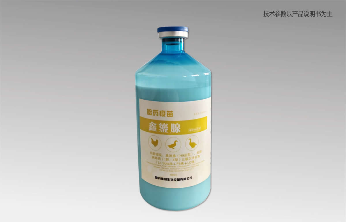 ���³��ߡ������У�H9���ͣ������ٲ�������IȺ��4�ͣ�����������磨La Sota�꣫F6�꣫LC�꣩