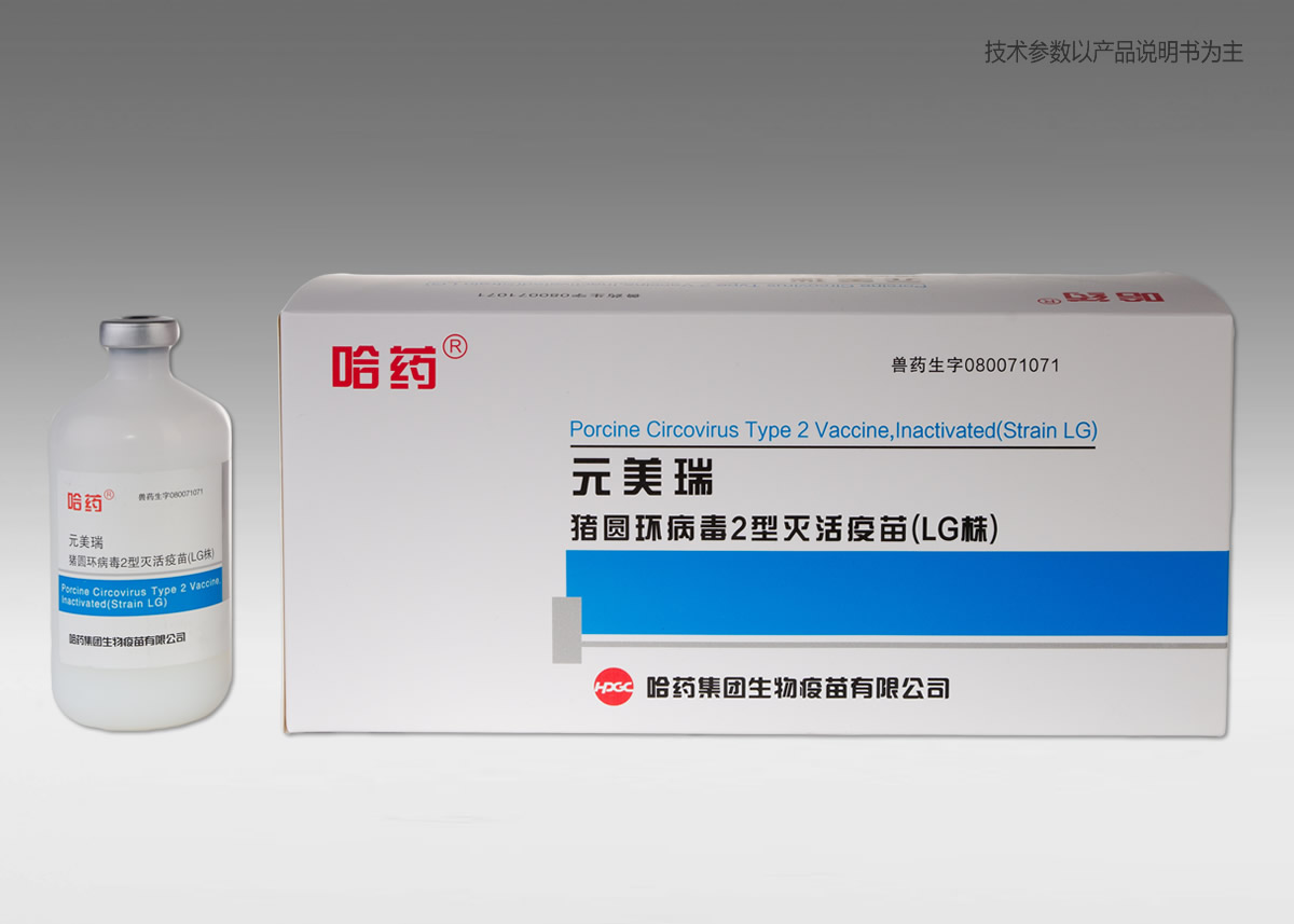 ��Բ������2��������磨LG�꣩