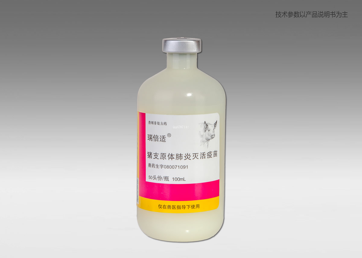 ��֧ԭ������������